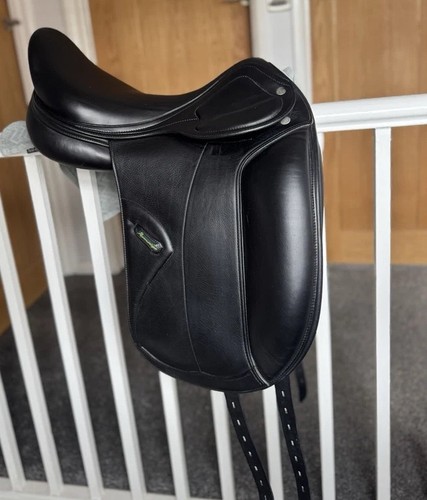 Amerigo pasubio dressage - pasubio,