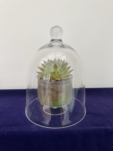 Vintage clear glass - clear,