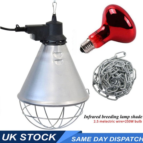 Infra red heat lamp with - lamp,