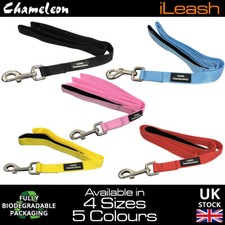 Dog lead Padded leash Lifetime