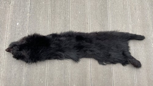 Vintage mid century - vintage, real