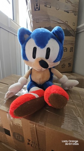 Sonic the hedgehog twix - the,