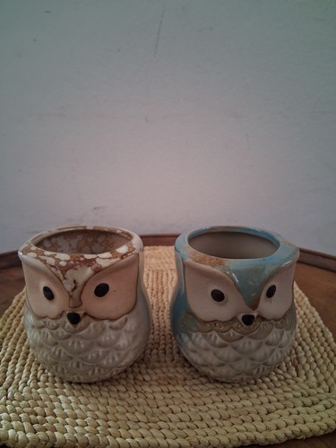 Pair small pottery owls - of,