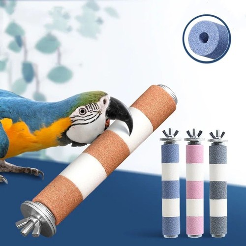 1pc pet bird parrot - pet,