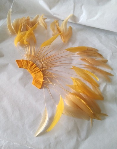 Yellow stripped coque feather