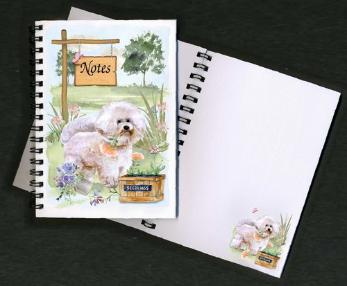 Bichon frise dog - bichon,