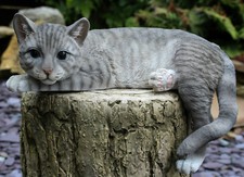 Vivid Arts Realistic Laying