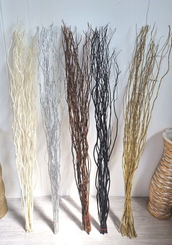 Twisted willow twig branches - twig,