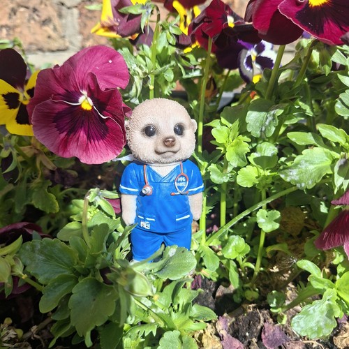 Vivid arts nurse nhs baby - nhs,