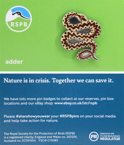 Rspb pin badge niic - rspb,