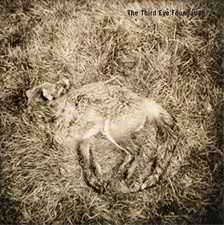 The Third Eye Foundation Semtex (Vinyl) 20th Anniversary  12" Album