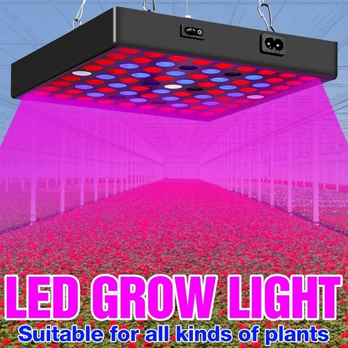 3000w led grow light - grow,