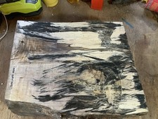 Spalted Ash Bowl Blank Wood