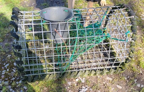 Lobster pot galvanised steel - pot,