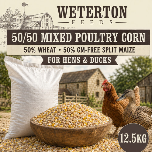 5kg poultry corn feed - corn,