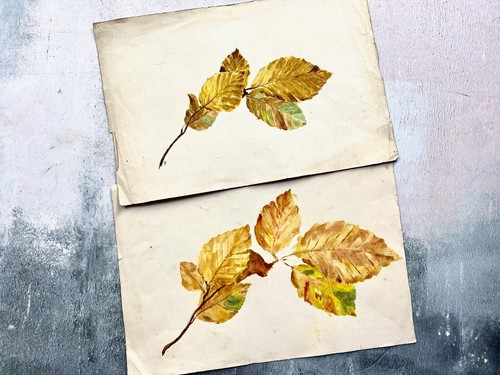 Pair antique autumnal leaf - antique,