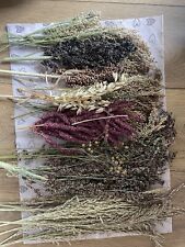 Hamster Seed Spray Bouquet 300g LARGE 