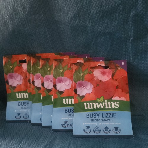 Unwins busy lizzie bright - 6x,