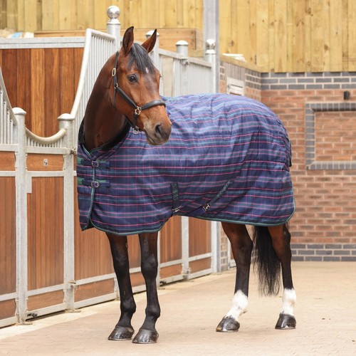 Shires tempest plus 100 - shires, stable