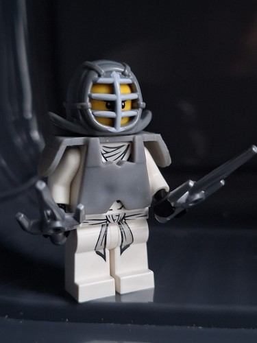 Lego ninjago zane - ninjago,