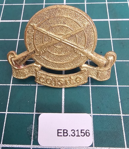 Irish defence corps cap - cap, badge