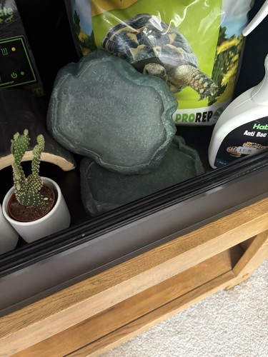 Used vivariums foot - used,