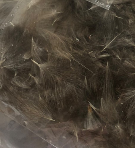 Cdc feathers fly tying - cdc,