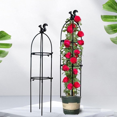 Garden obelisk outdoor - outdoor, trellis