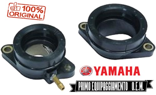 Pair intake manifolds - intake, ars