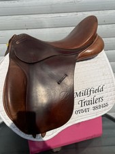 17.5 Brown Bates VSD Caprilli