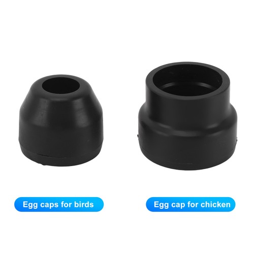 Egg candling lamp - egg, candler