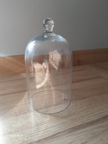 Clear cloche glass dome bell - cloche,