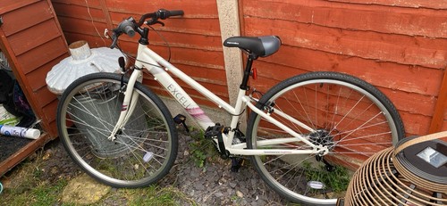 Ladies mountain bike brand - brand, new
