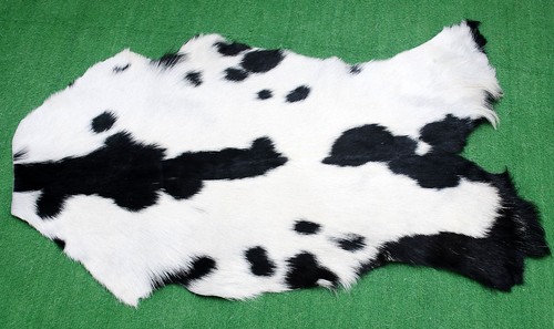 Luxury goat hide rug hair - hair, on