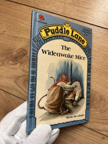 Ladybird puddle lane - ladybird,