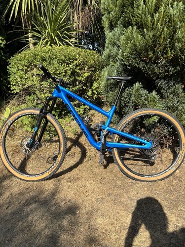 Focus carbon mountain bike - focus,