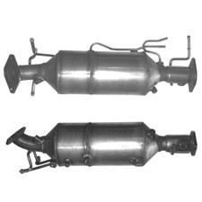 Homologated Diesel Cat & SiC