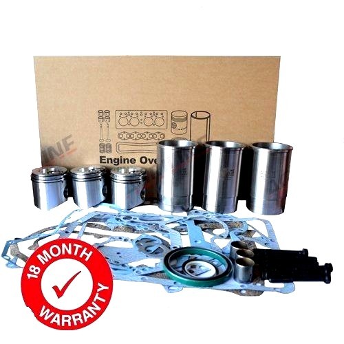 Engine overhaul kit for david - overhaul,