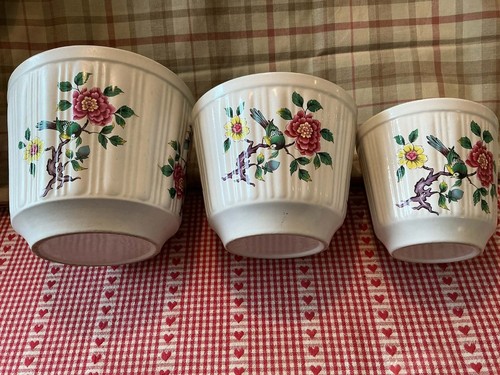 Set vintage graduated old - graduated,