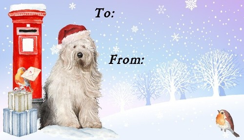Old english sheepdog christmas - old,