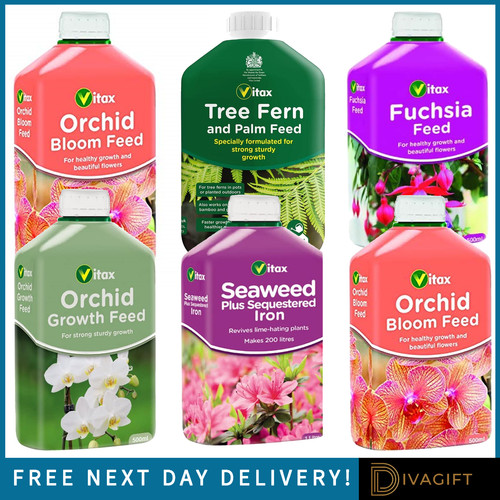 Vitax fuchsia seaweed tree - fuchsia,
