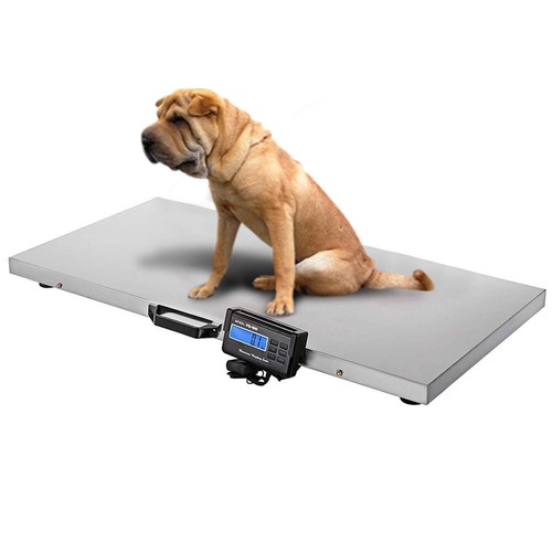 1000lbs animal scale stainless - animal,