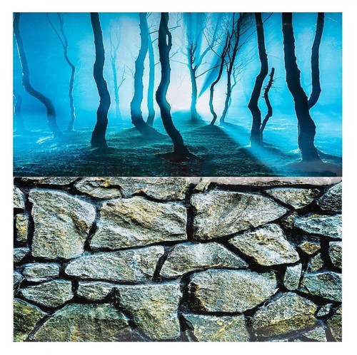 Aquarium fish tank background - tank,