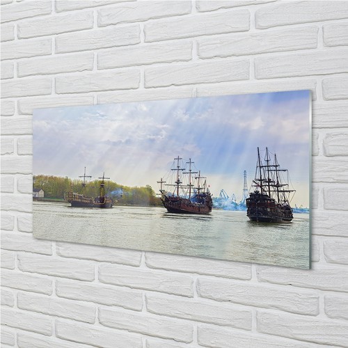 Tulup glass print 100x50 wall - glass,