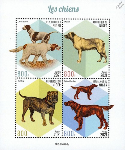 DOGS