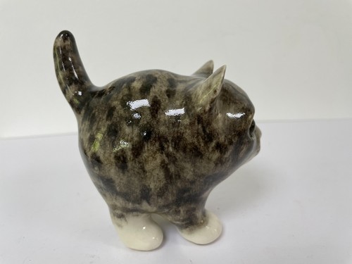 Winstanley fat grey tabby cat - fat,