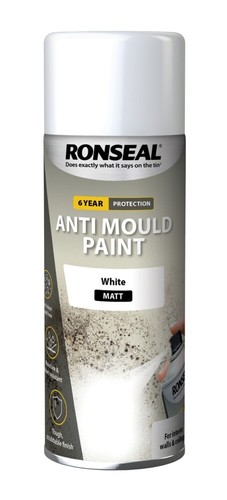 Anti mould spray - mould,
