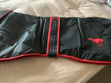 GREYHOUND WALKING OUT COAT