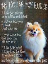 Pomeranian Dog My House My