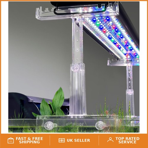 Modern acrylic aquarium - acrylic, light